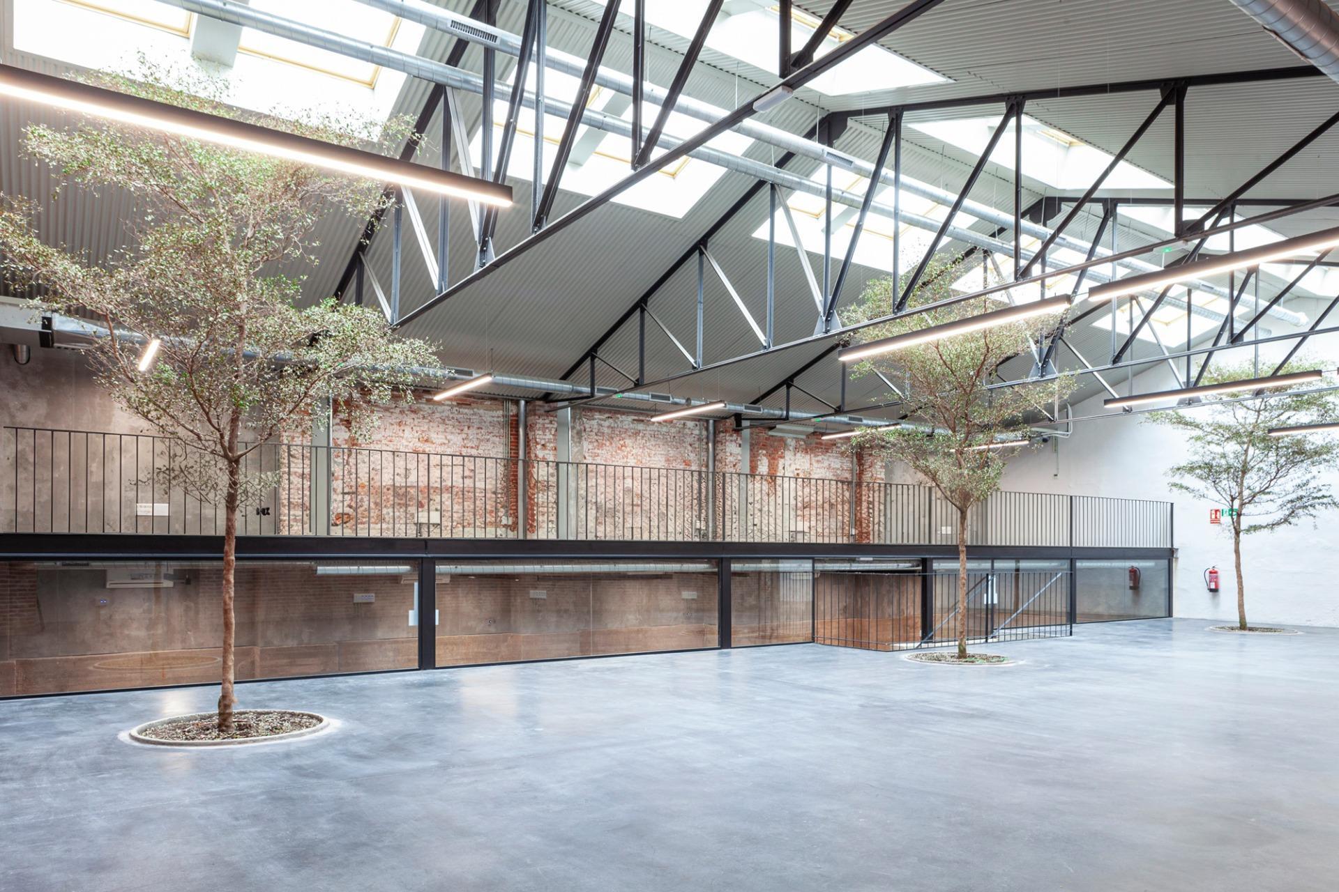 Oficina en Madrid, Madrid en alquiler Foto principal- Imagen 1 de 4