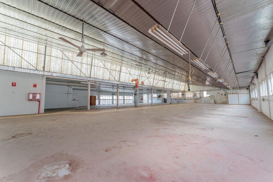 Nave en Elche, Alicante en venta - Foto del interior - Imagen 3 de 14