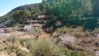 Más detalles de Terreno en venta