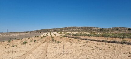 Sin Calle, Jumilla, MUR - Aérea  vista de mapa - Image1