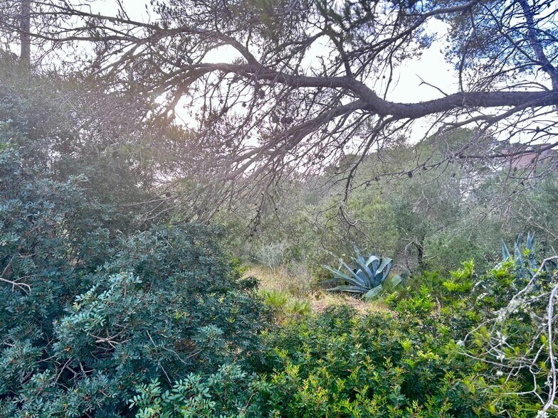 Terreno en Santanyí, Islas Baleares en venta - Foto del edificio - Imagen 1 de 3