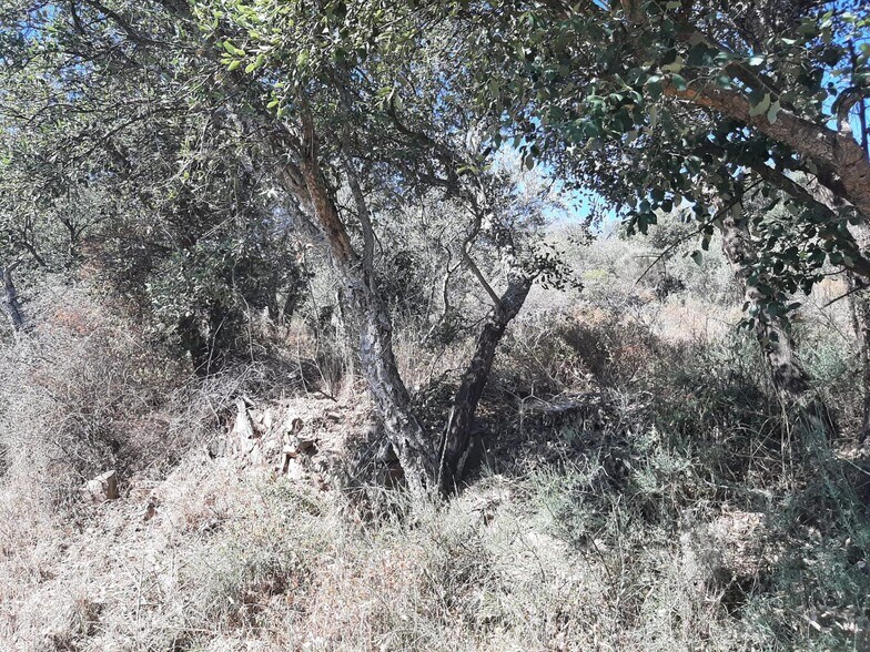 Terreno en Sierra de Fuentes, Cáceres en venta - Foto principal - Imagen 3 de 17