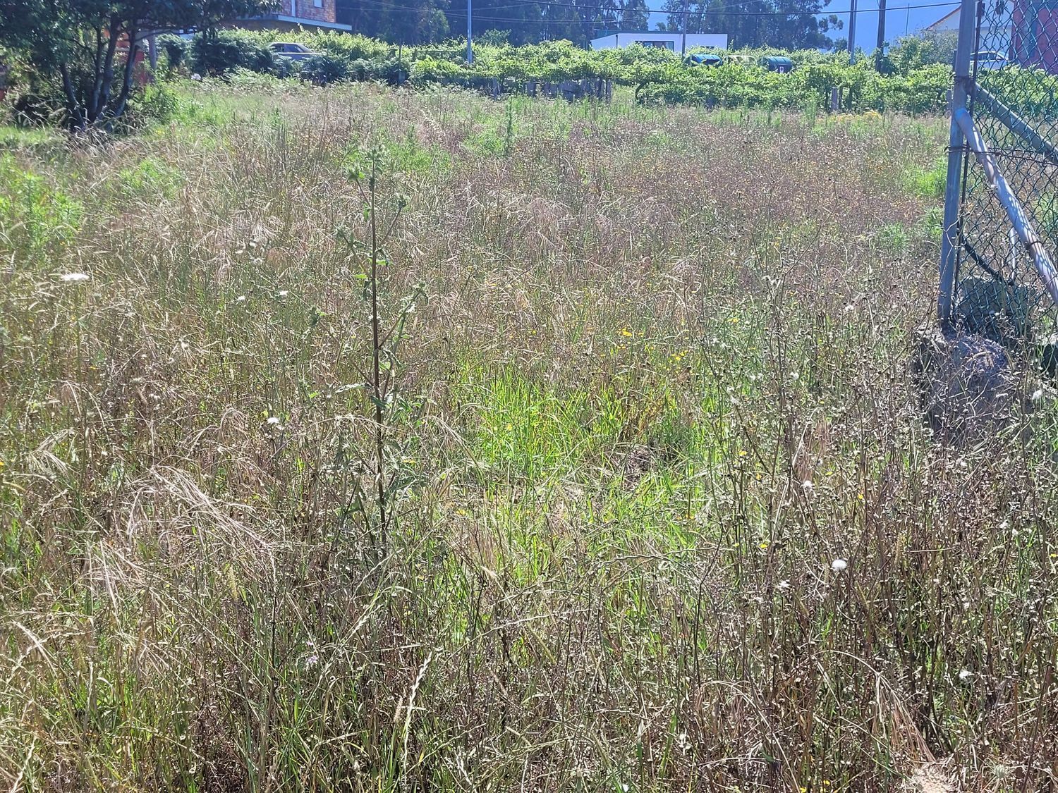 Terreno en Cambados, Pontevedra en venta Foto principal- Imagen 1 de 10