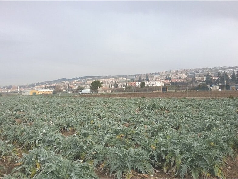 Terreno en Granada, Granada en venta - Foto del edificio - Imagen 2 de 9