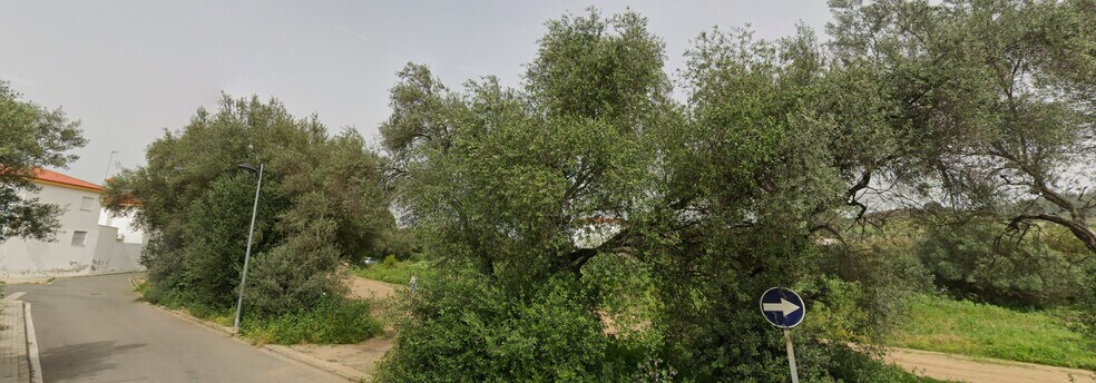 Calle Doctor Miguel Márquez, Calañas, Huelva en venta - Foto principal - Imagen 3 de 3