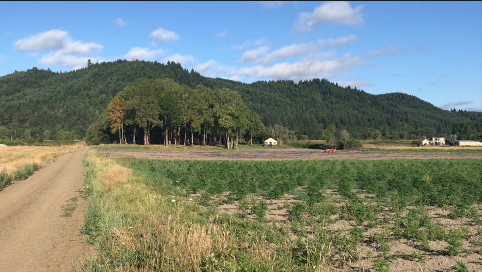 NW Sauvie Island Rd, Portland, OR en alquiler - Foto del edificio - Imagen 2 de 28