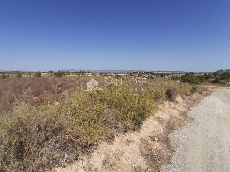 Terreno en Novelda, Alicante en venta - Foto principal - Imagen 2 de 11