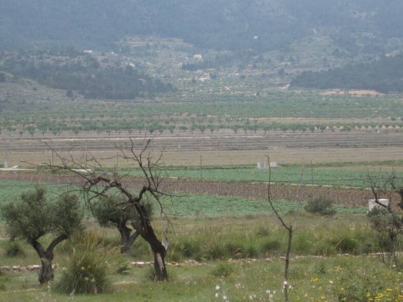 Terreno en HONDÓN DE LAS NIEVES, Alicante en venta - Vista aérea - Imagen 2 de 2