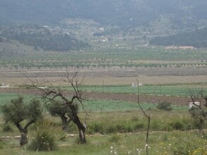 HONDÓN DE LAS NIEVES, ALI - Aérea  vista de mapa