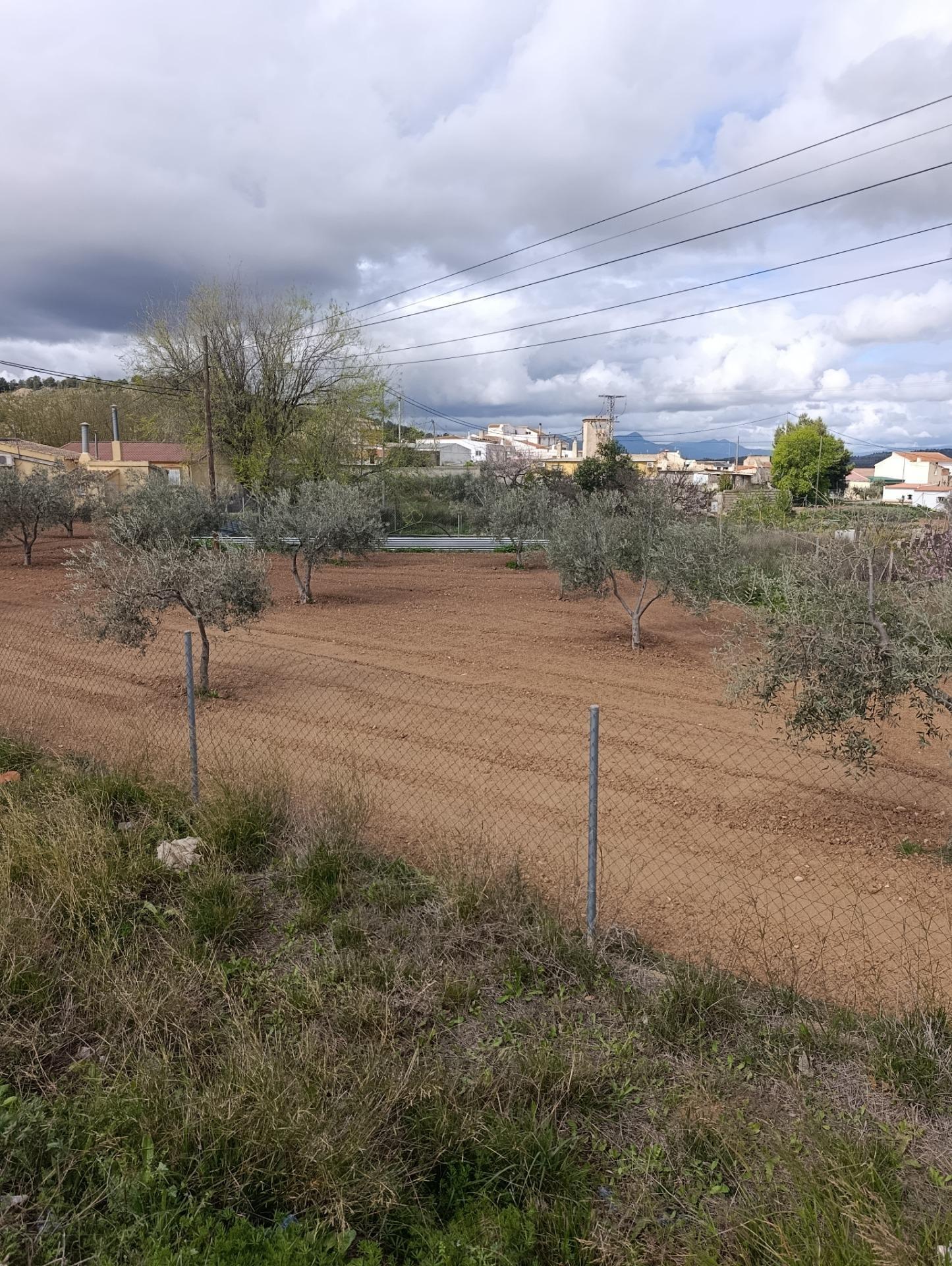 Terreno en Bullas, Murcia en venta Plano del sitio- Imagen 1 de 8