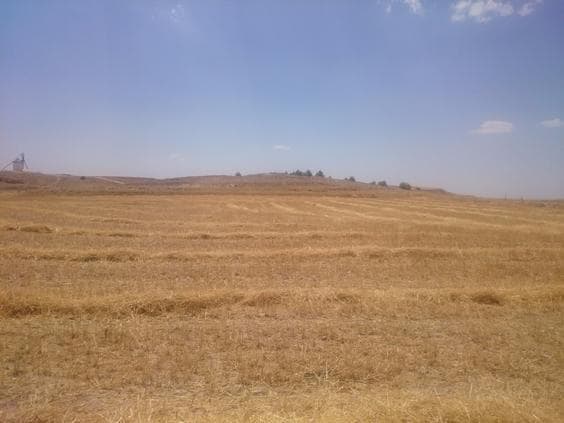 Más detalles de Terreno en venta