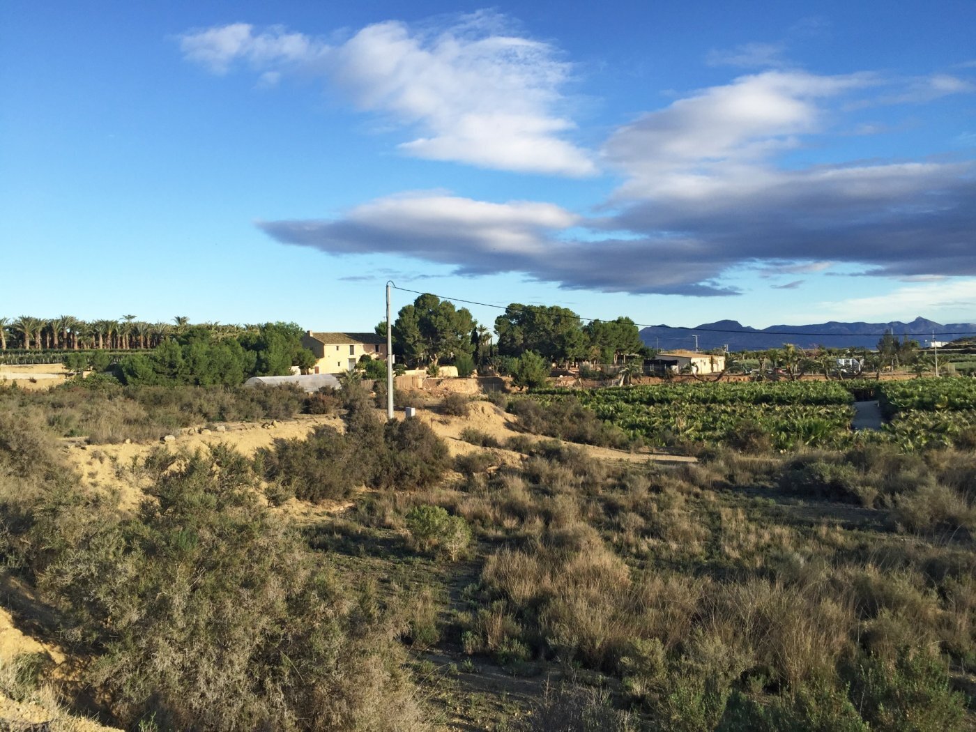 Terreno en Aspe, Alicante en venta Vista aérea- Imagen 1 de 7