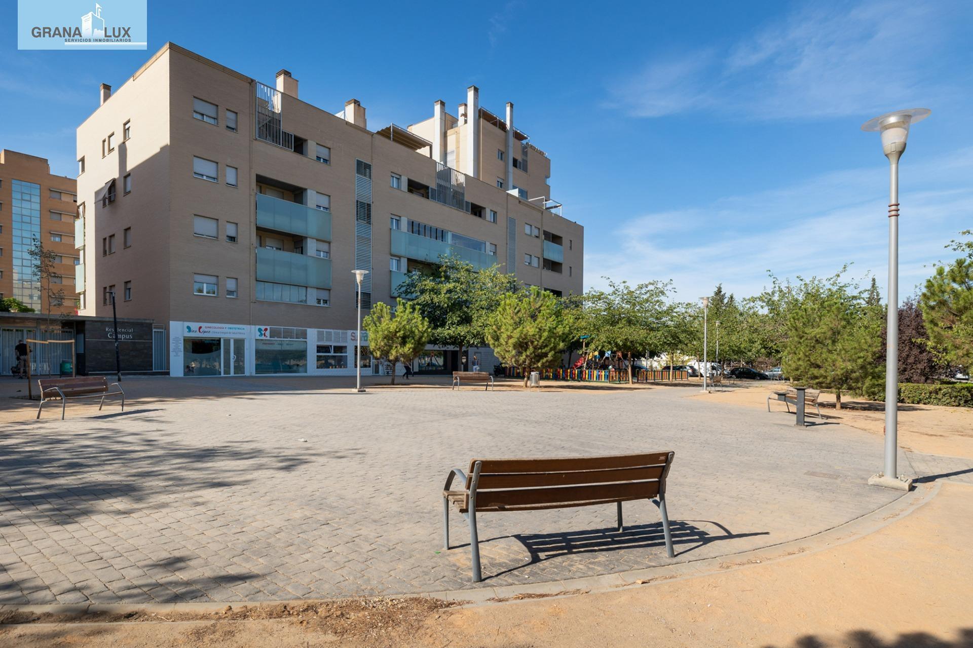Plaza Catedrática Asunción Linares, 1, Granada, Granada en venta Foto del edificio- Imagen 1 de 45