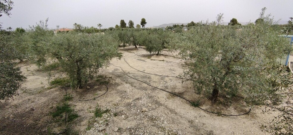 Terreno en Calasparra, Murcia en venta - Foto del edificio - Imagen 2 de 19