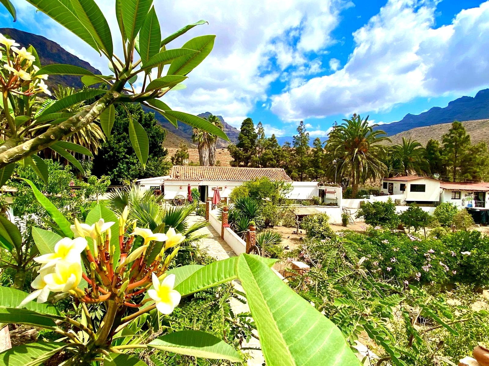 Hotel y hospedaje en San Bartolomé de Tirajana, Las Palmas en venta Foto principal- Imagen 1 de 6