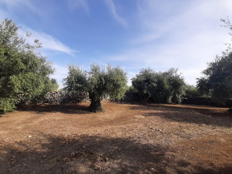 Terreno en Torre de Santa María, Cáceres en venta - Foto principal - Imagen 2 de 16