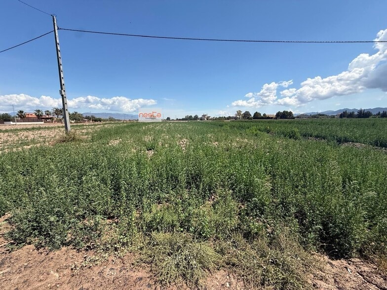 Terreno en Lorca, Murcia en venta - Foto del edificio - Imagen 3 de 6