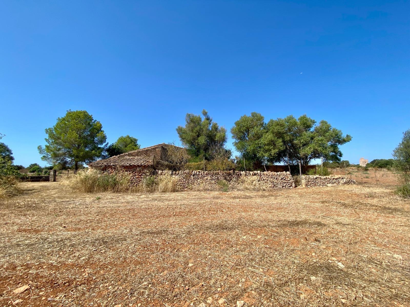 Terreno en Campos, Islas Baleares en venta Foto del edificio- Imagen 1 de 13