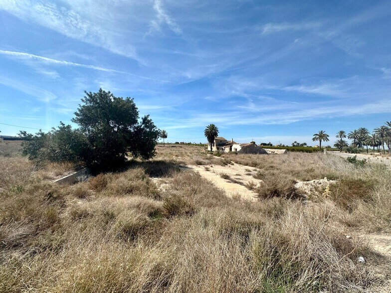 Terreno en Elche, Alicante en venta - Foto del edificio - Imagen 3 de 6