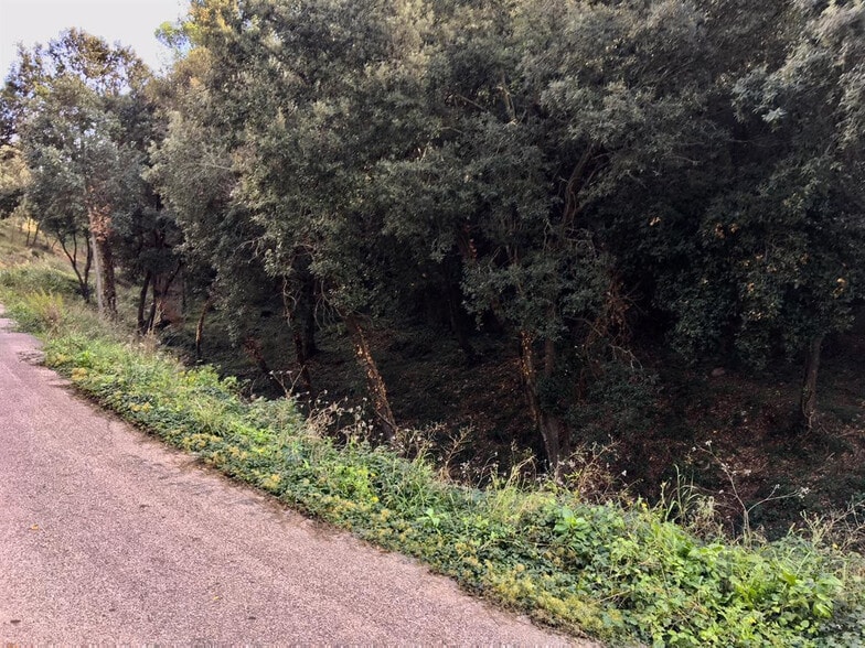 Carrer de Coll Monner, 10, Castellar del Vallès, Barcelona en venta - Otros - Imagen 1 de 2