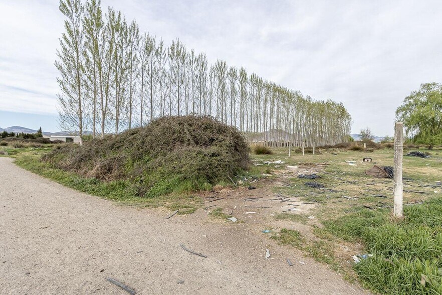 Fogariles, Fuente Vaqueros, Granada en venta - Foto del edificio - Imagen 3 de 12
