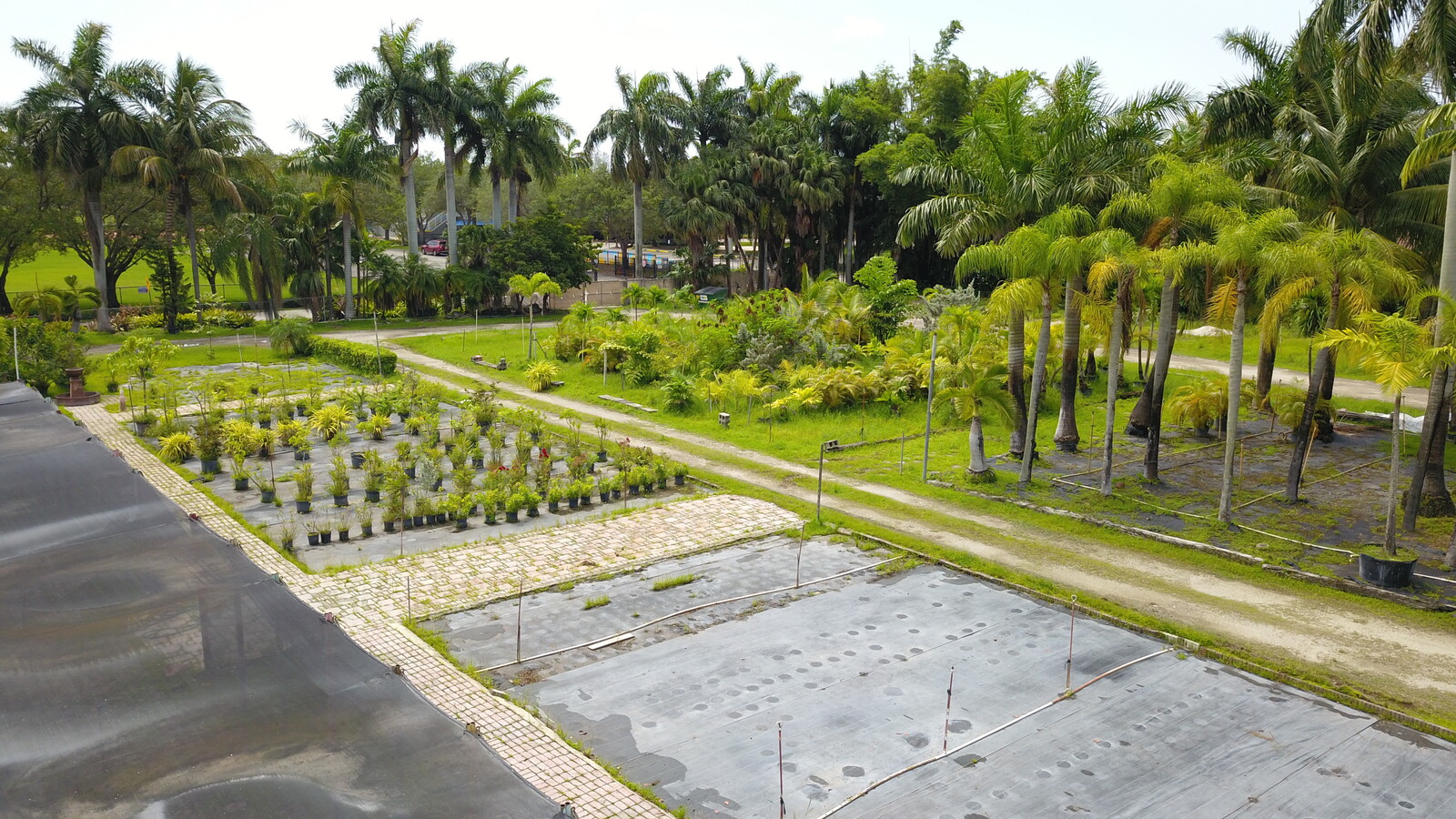 Foto del edificio