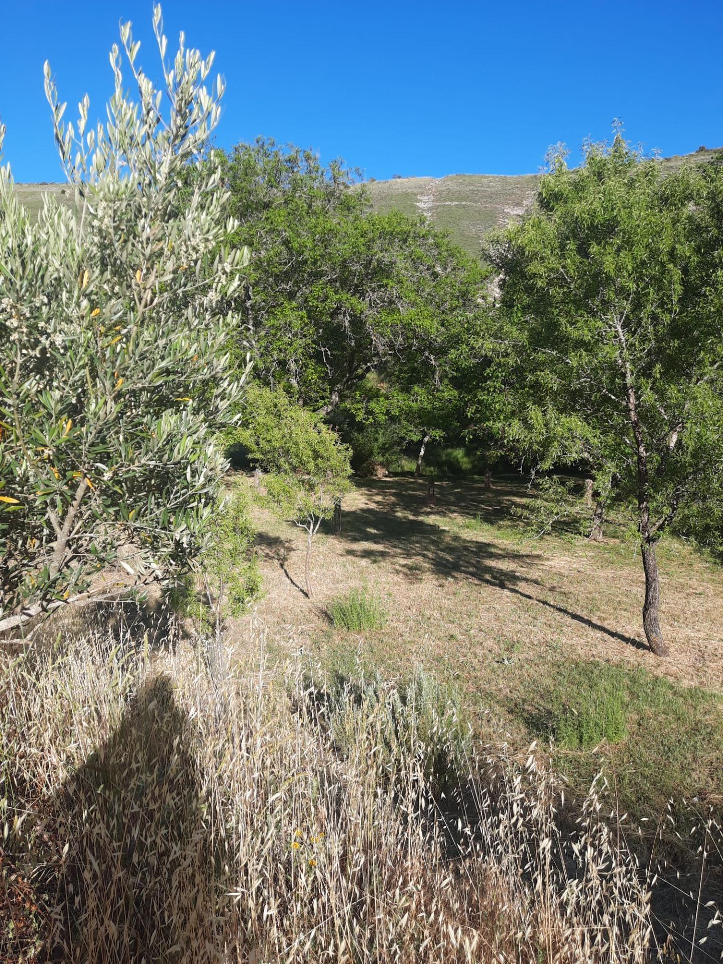 Terreno en Valle de Tabladillo en venta Plano del sitio- Imagen 1 de 3
