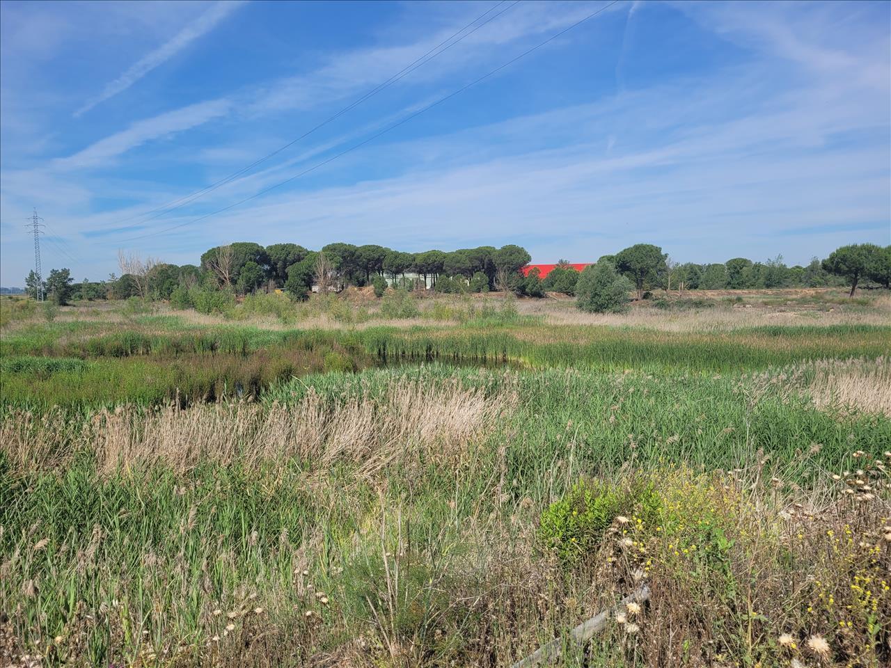 Parcela, 1, Coreses, Zamora en venta Foto del edificio- Imagen 1 de 20