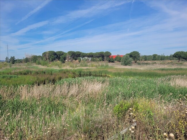 Más detalles de Parcela, 1, Coreses - Terreno en venta