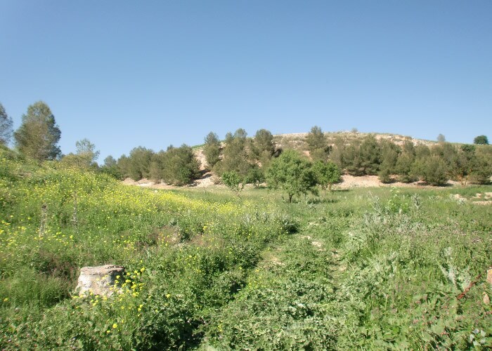 Terreno en Ocaña, Toledo en venta - Foto del edificio - Imagen 3 de 22