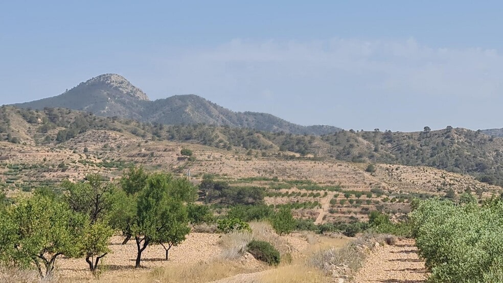 Terreno en Abanilla, Murcia en venta - Vista aérea - Imagen 3 de 8