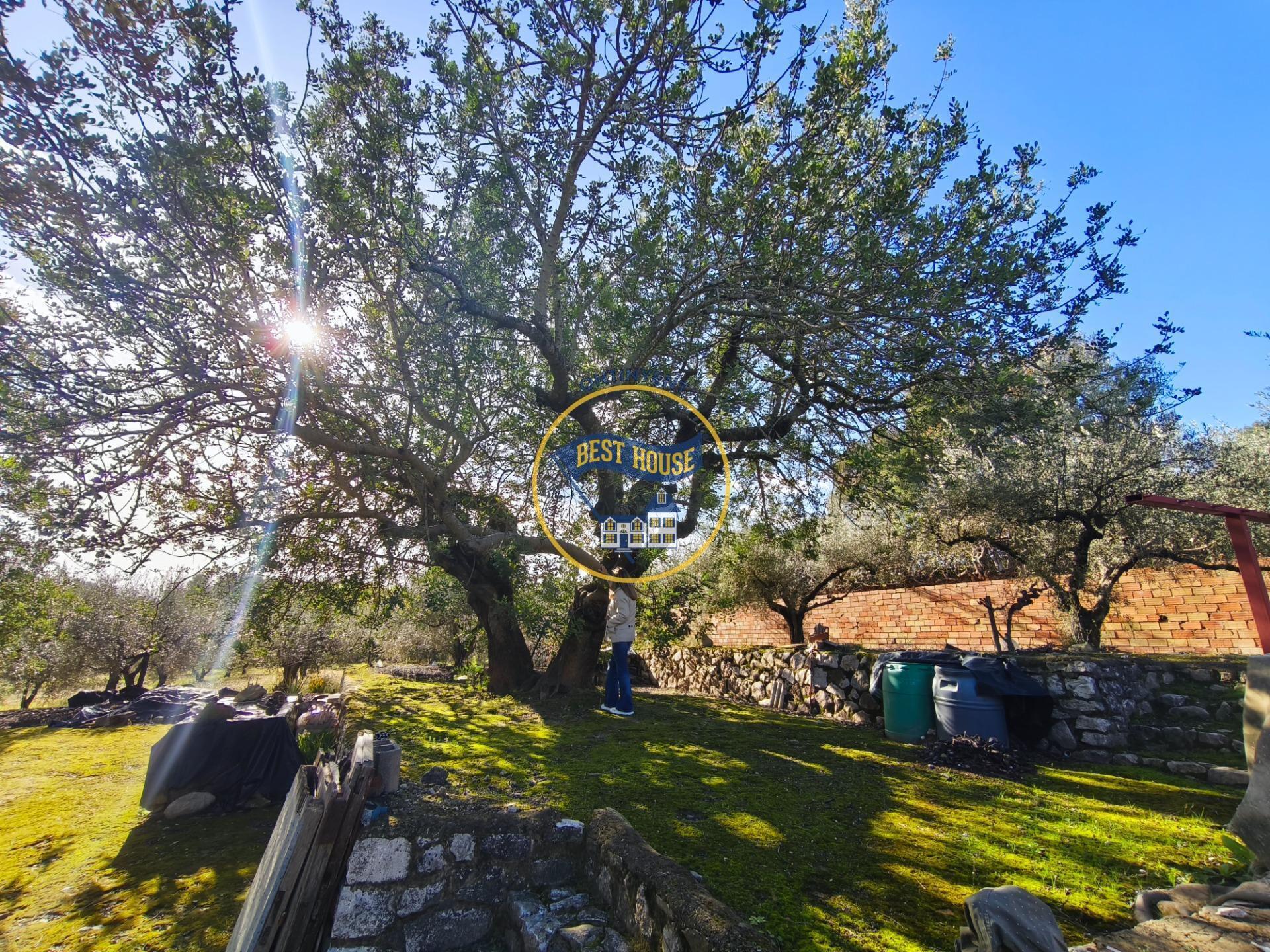 Terreno en Ontinyent en venta Foto del edificio- Imagen 1 de 25