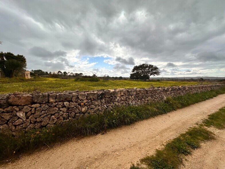 Terreno en Sineu en venta - Foto del edificio - Imagen 2 de 14