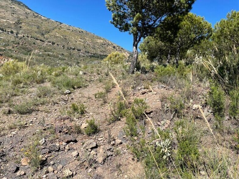 Terreno en Carataunas en venta - Foto del edificio - Imagen 2 de 8