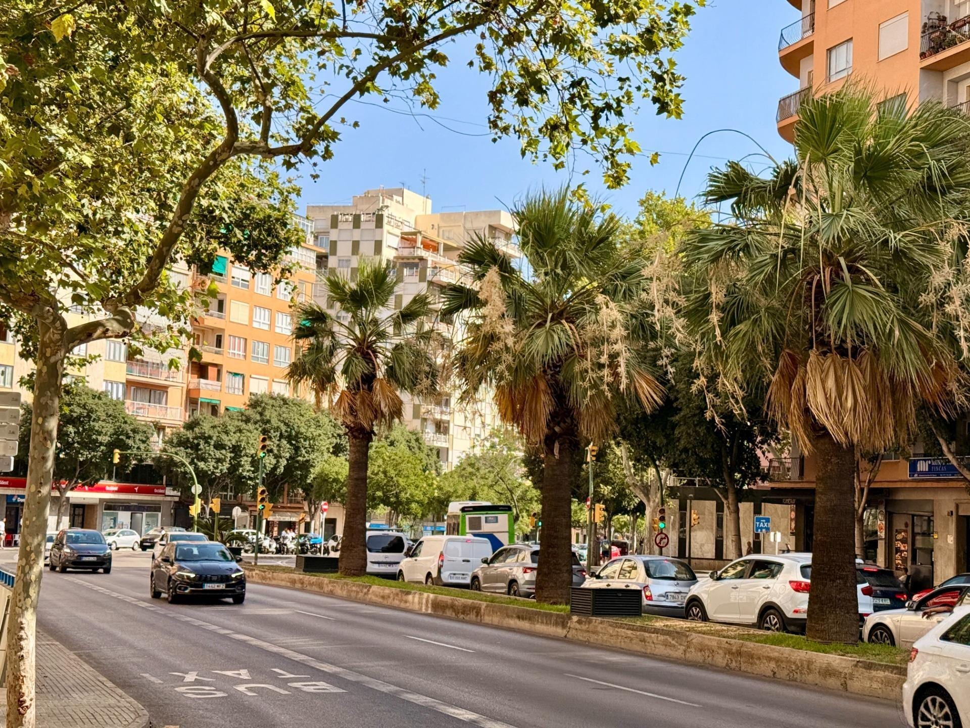 Local en Palma, Islas Baleares en alquiler Foto del edificio- Imagen 1 de 5