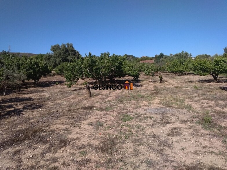 Terreno en Ontinyent en venta - Foto del edificio - Imagen 3 de 3