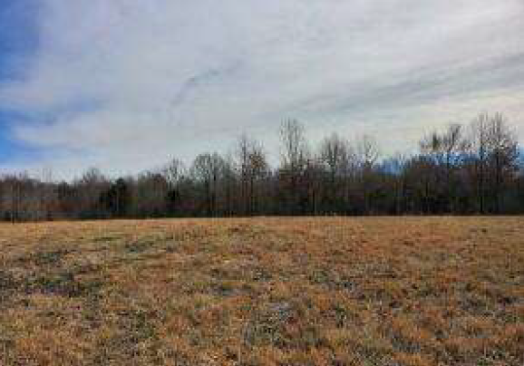 Woolfolk Road, Senatobia, MS en venta - Foto principal - Imagen 1 de 2