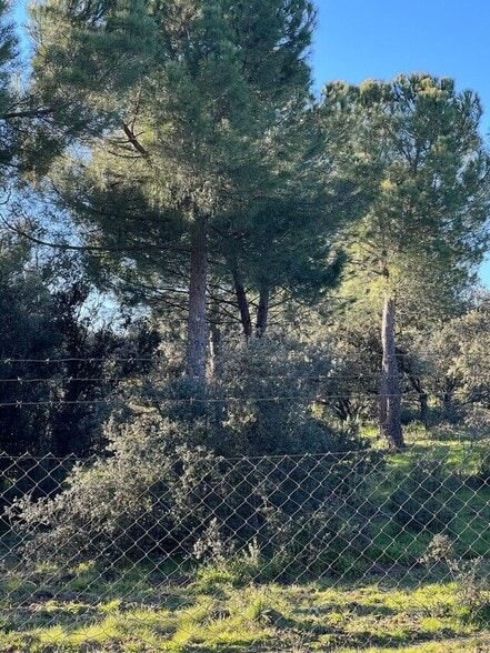 Calle de Alsasua, 6, Madrid, Madrid en venta - Otros - Imagen 3 de 3