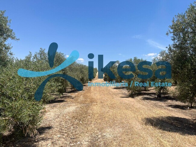 Más detalles de Terreno en venta