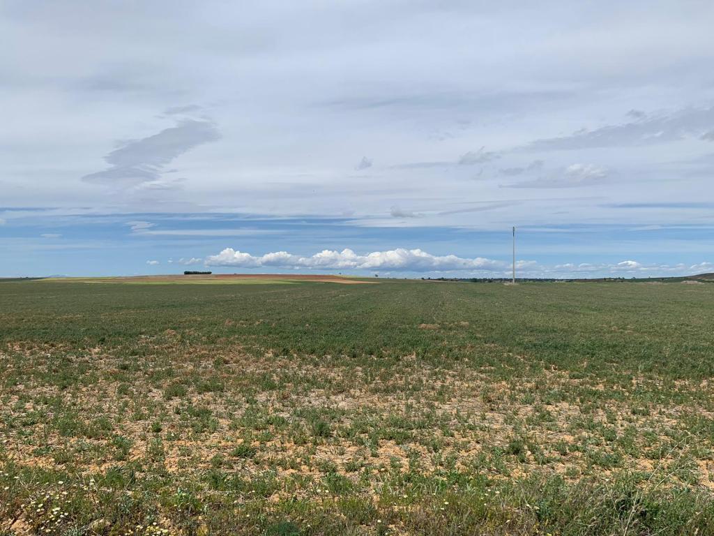 Vegas de, Fuentes de Ropel, Zamora en venta Foto principal- Imagen 1 de 24