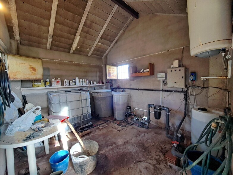 Camí dels Tolls, Alzira, Valencia en venta - Foto principal - Imagen 2 de 28