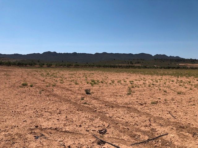 Terreno en MURCIA en venta - Foto del edificio - Imagen 3 de 4