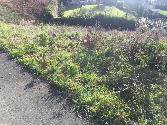 Más detalles de Terreno en venta