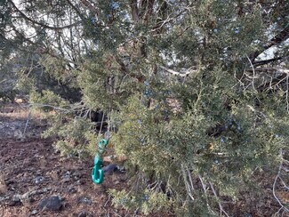 Más detalles de 17411 Ranch Rd, Williams, AZ - Terreno en venta