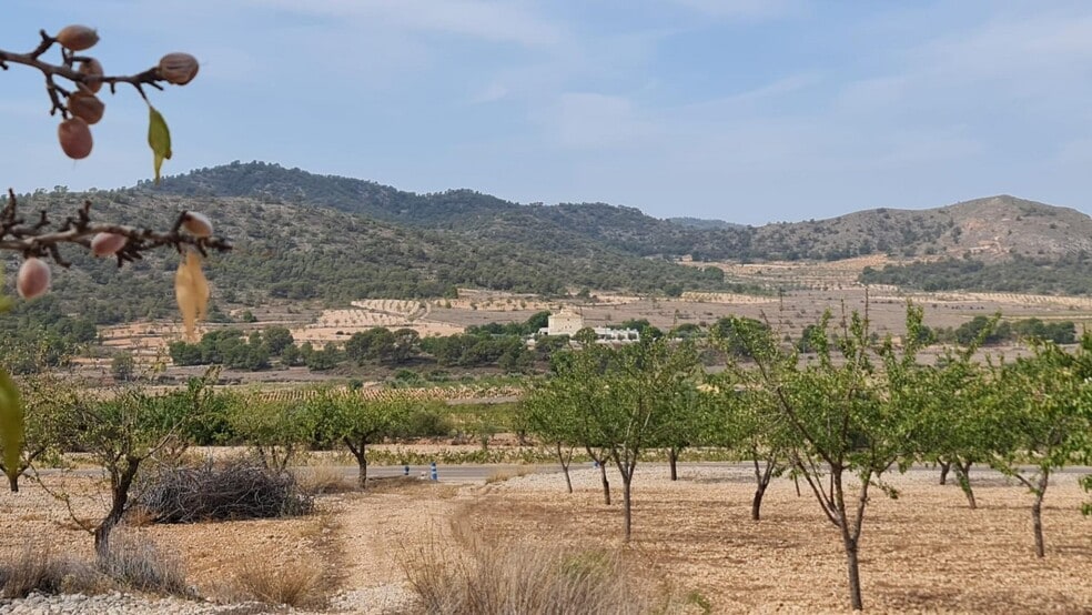 Terreno en Algueña, Alicante en venta - Vista aérea - Imagen 2 de 8
