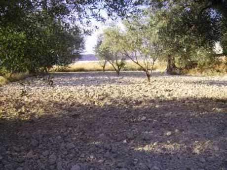 Terreno en Calasparra, Murcia en venta Foto del edificio- Imagen 1 de 4