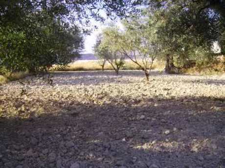 Más detalles de Terreno en venta