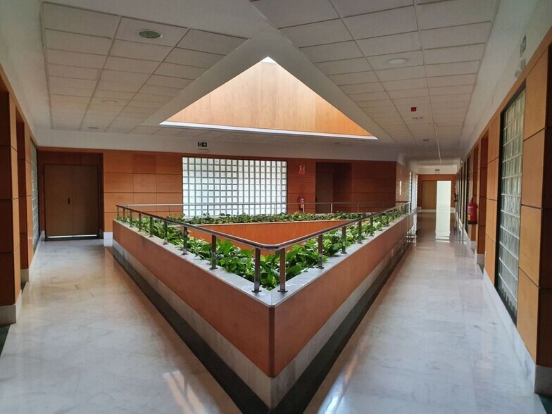 Oficina en SEVILLA en alquiler - Foto del edificio - Imagen 3 de 16