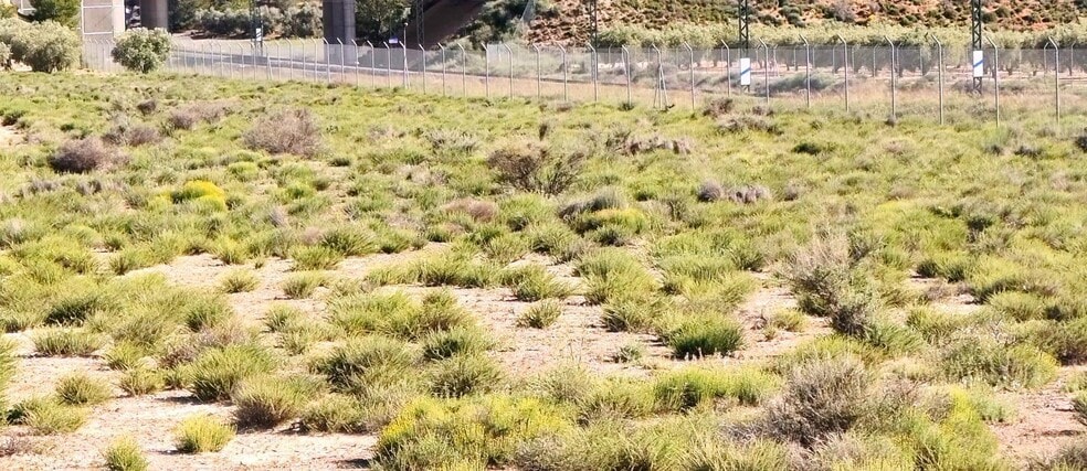 Terreno en Villena, Alicante en venta - Plano del sitio - Imagen 2 de 4
