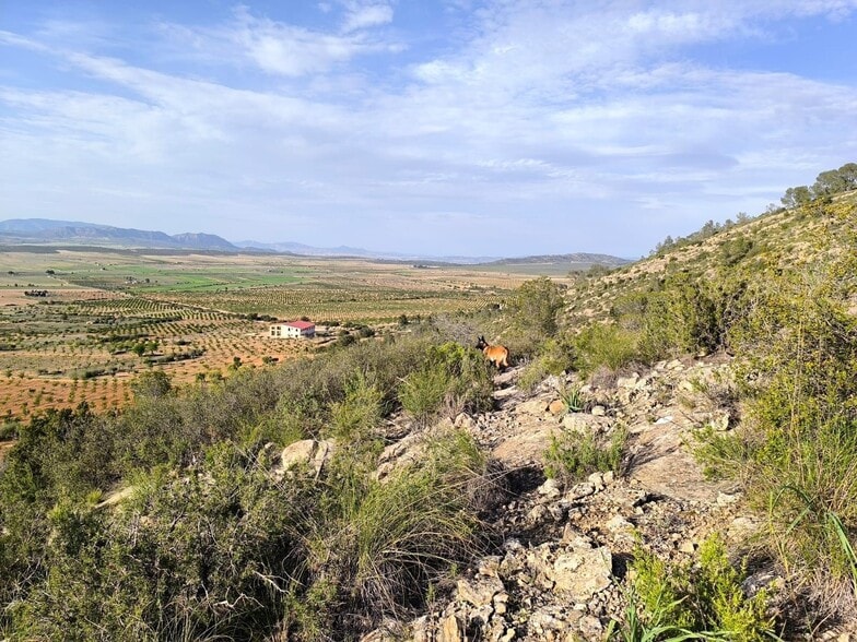 Terreno en Yecla, Murcia en venta - Vista aérea - Imagen 2 de 15